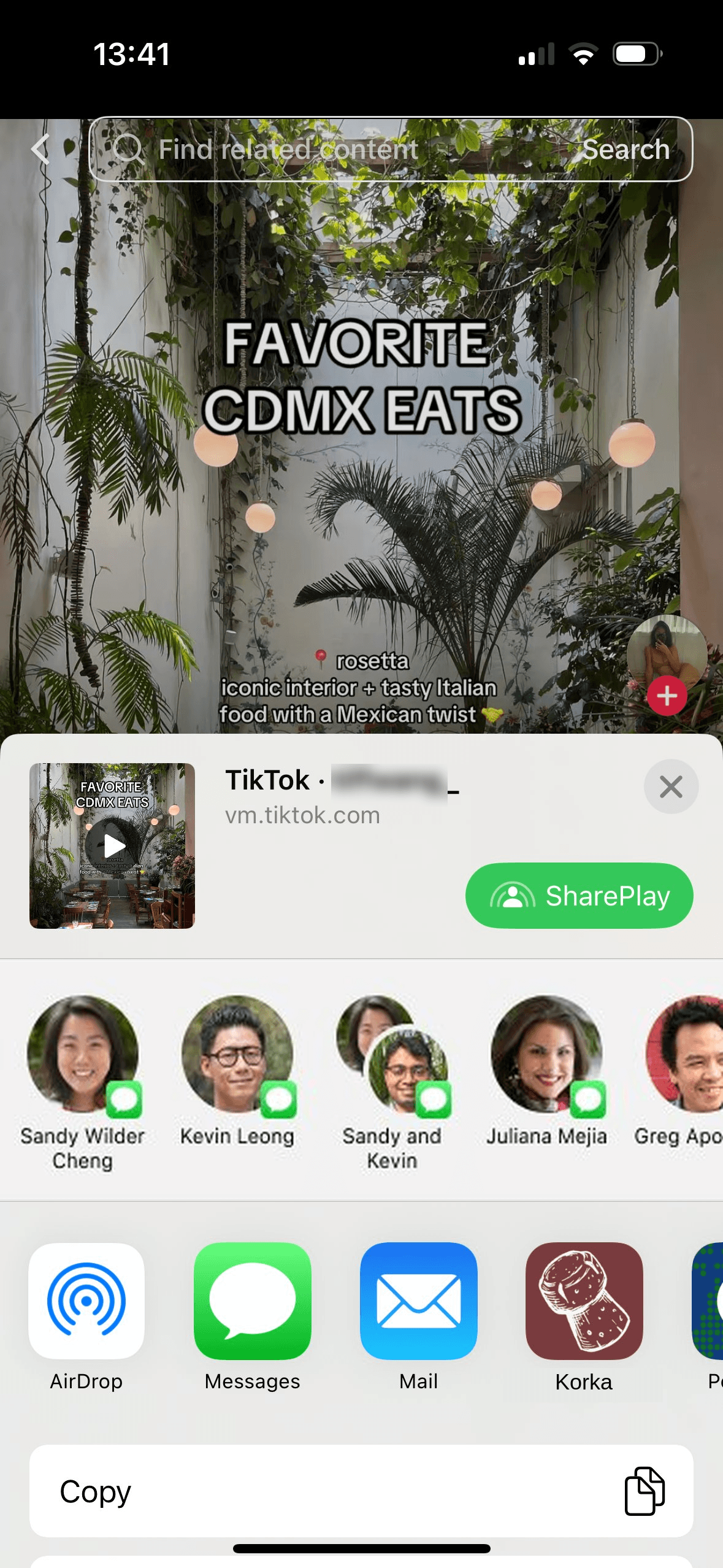 Korka share sheet receiving a post from Instagram
